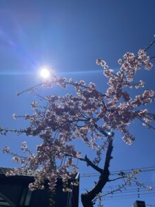 🌙甘い贈り物と、こころのゆるみ。