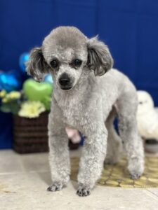 🌿ゆめと過ごす、やさしい時間🌿