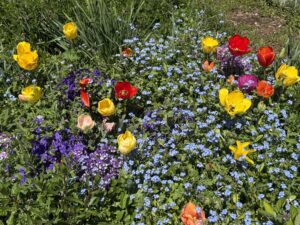 🌿便利さの中で、忘れかけているもの🌿