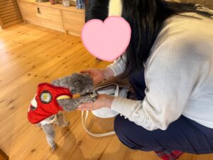 🍀ご縁が紡ぐ、あたたかな時間🍀