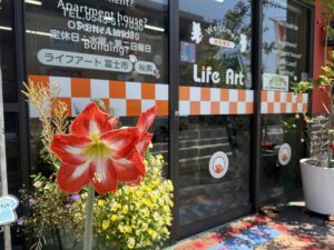 15年前のご縁が、今年もお花を咲かせてくれました🌺