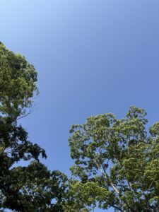 〜オルゴールが人の想いを紡いでくれたお話し〜🍀