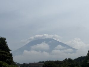 一本の電話から始まったご縁🌿