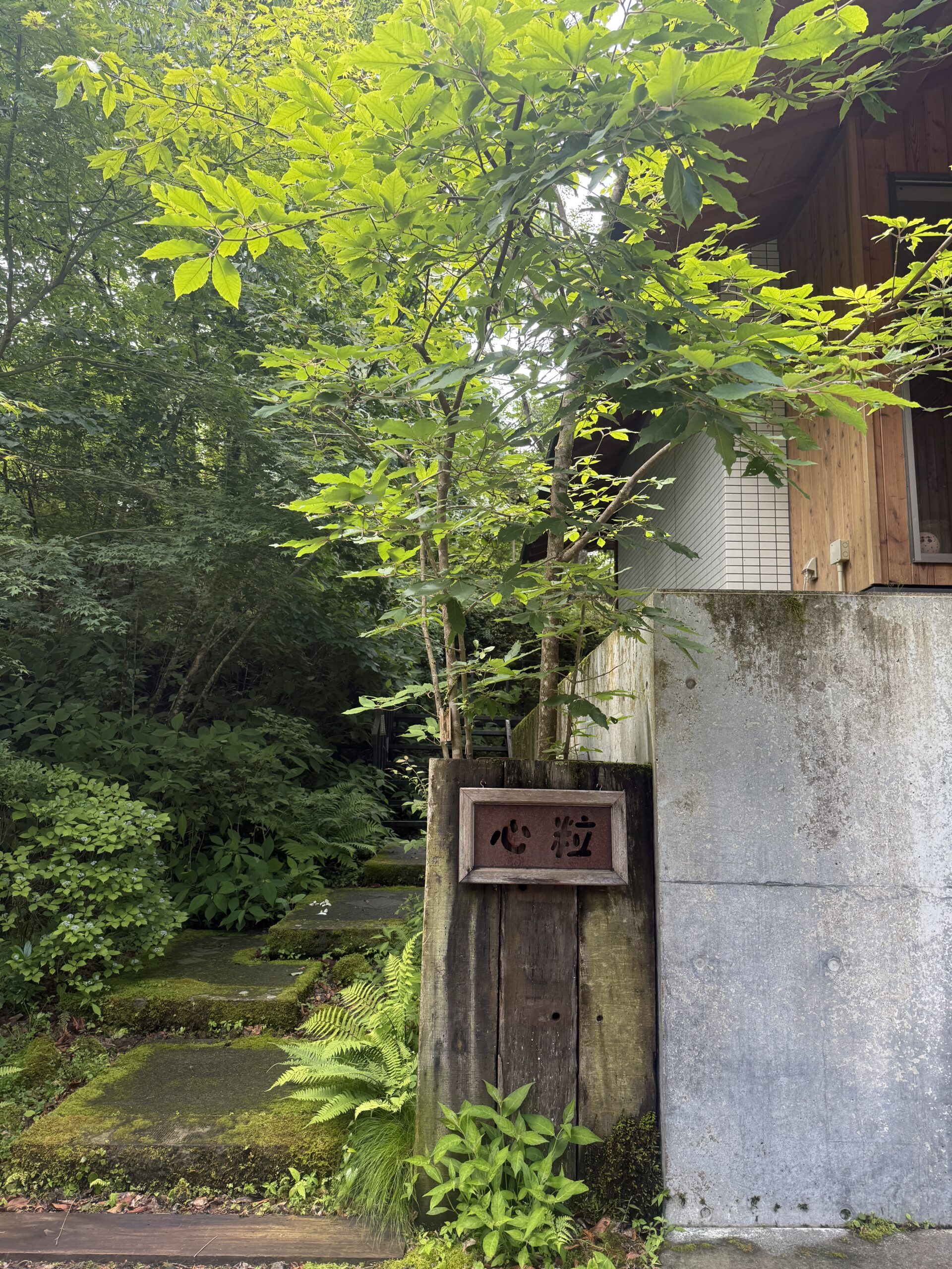 8月23日（日）心粒開放日のお知らせ🌿
