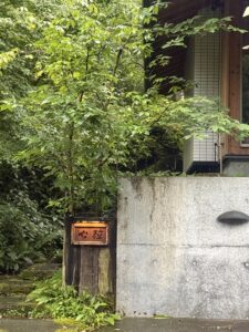 何もしない時間、最近ありますか❓🌿